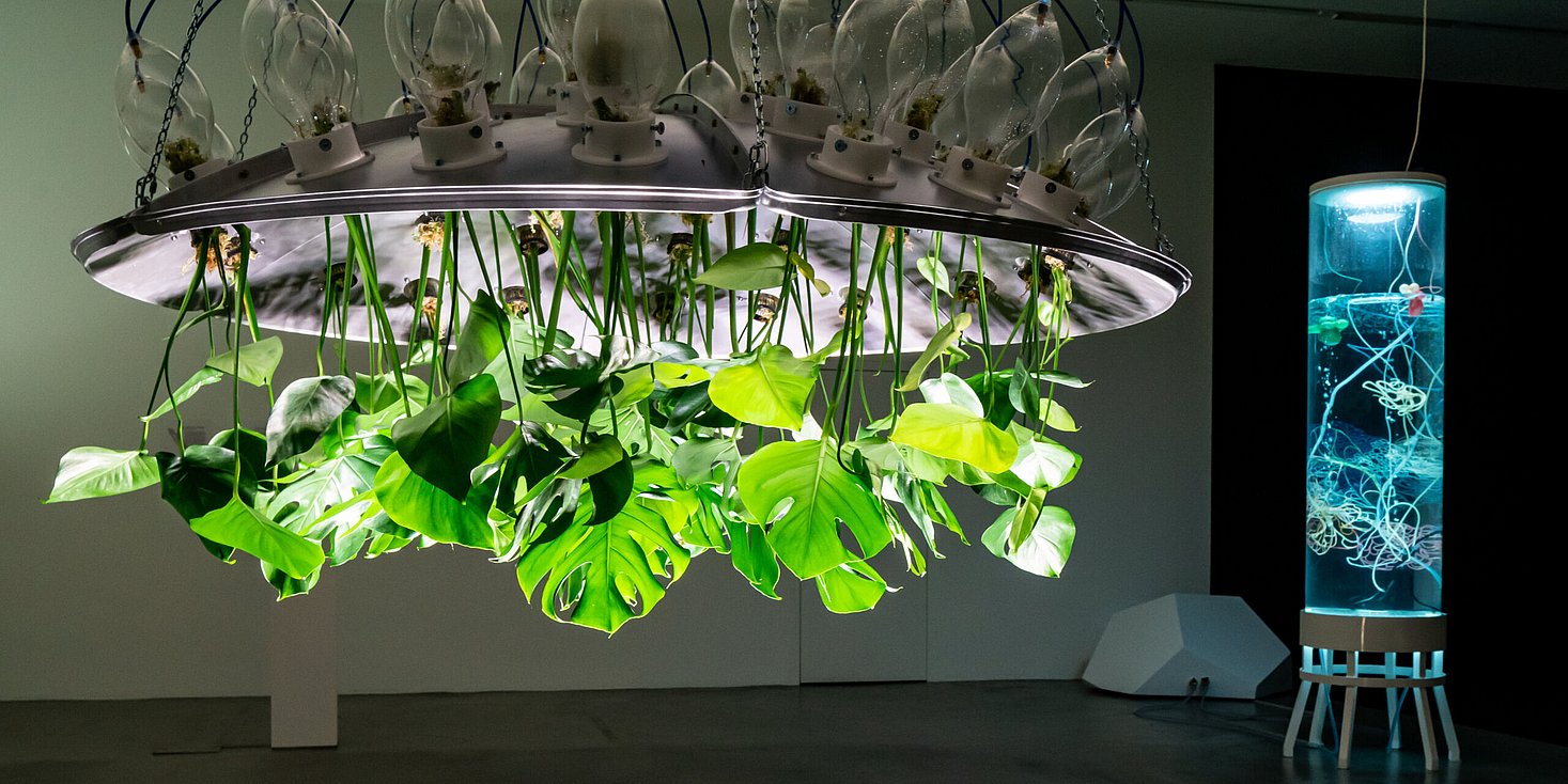 Mary Maggic, Plants of the Future, 2013/2020, Photo: Lorenzo Pusterla