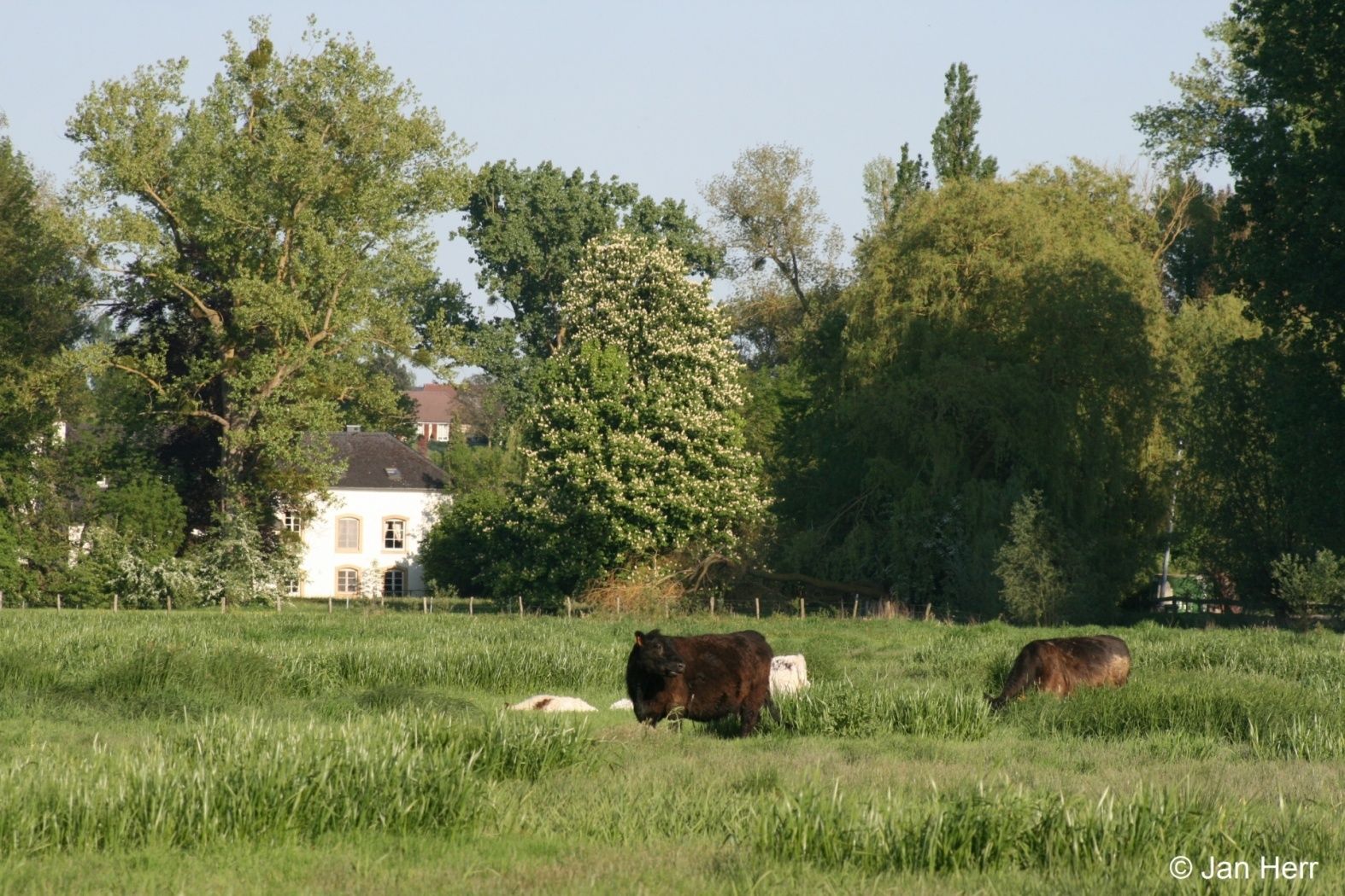 Lehrpfad Dumontshaff