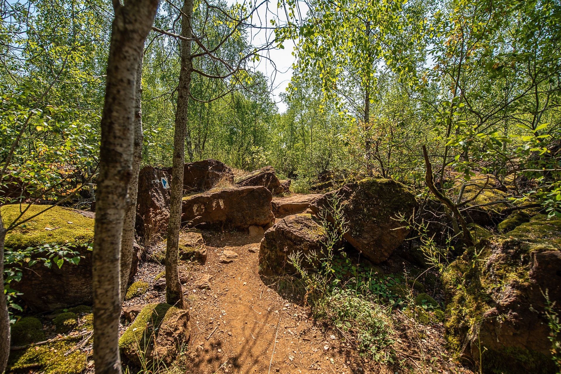 Auto-Pédestre Wanderweg Dudelange II