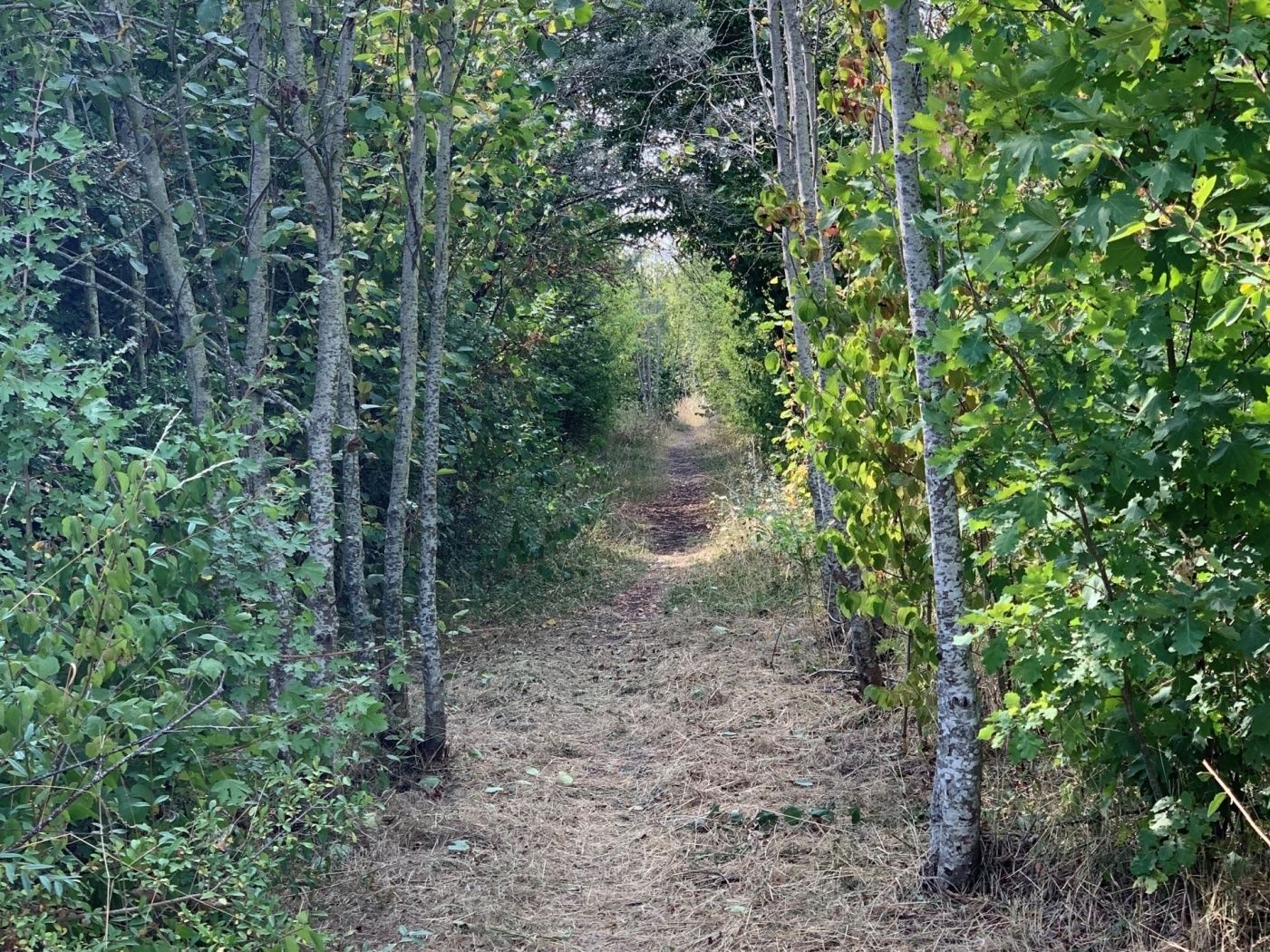 Auto-Pédestre Wanderweg Bascharage