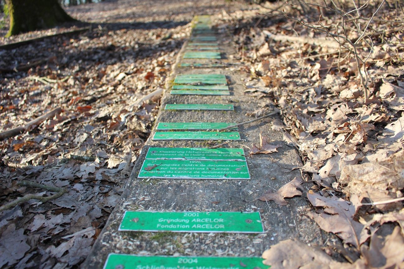 Auto-Pédestre Wanderweg Dudelange I