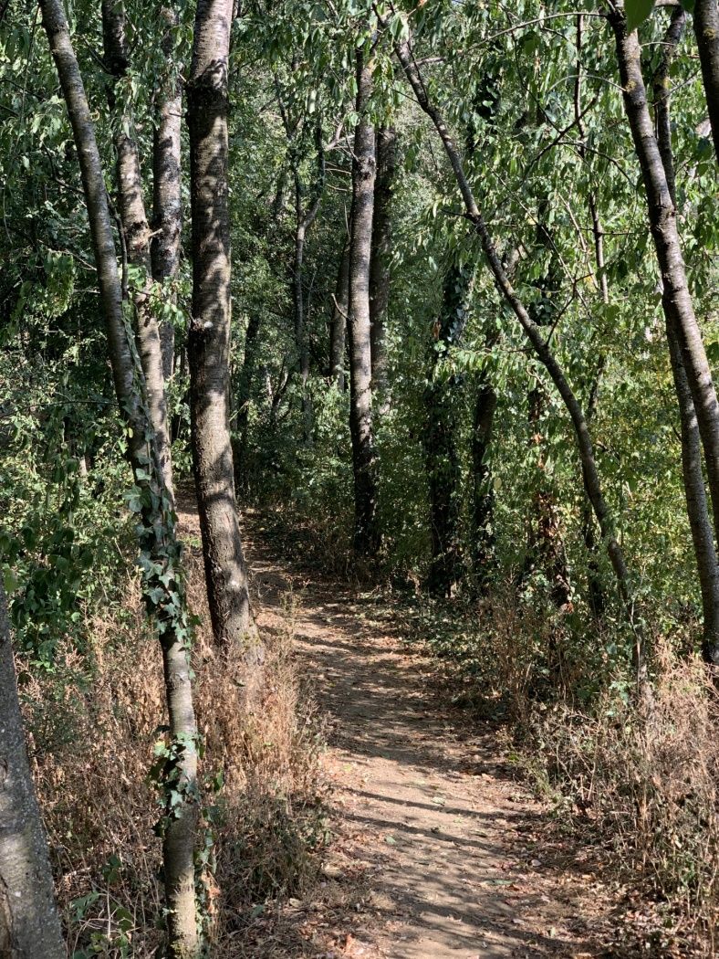 Auto-Pédestre Wanderweg Bascharage
