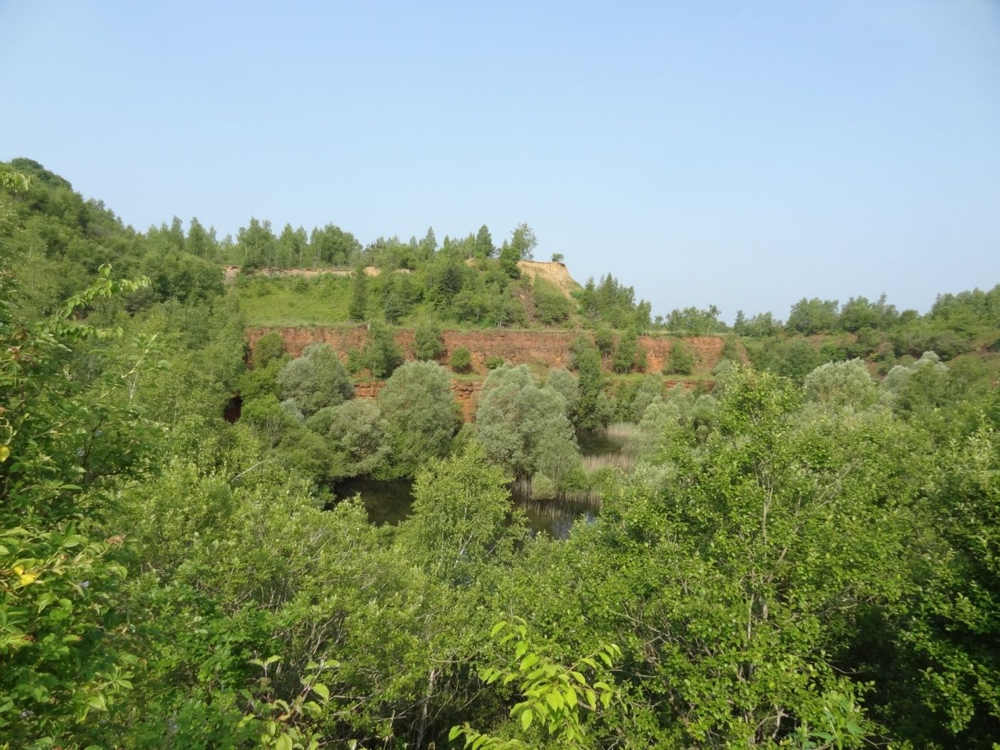 Nature reserve "Prënzebierg - Giele Botter"
