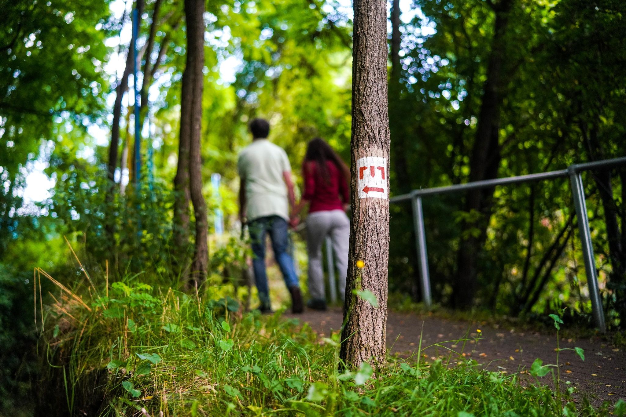 Minett Trail: Clemency - Pétange Gare
