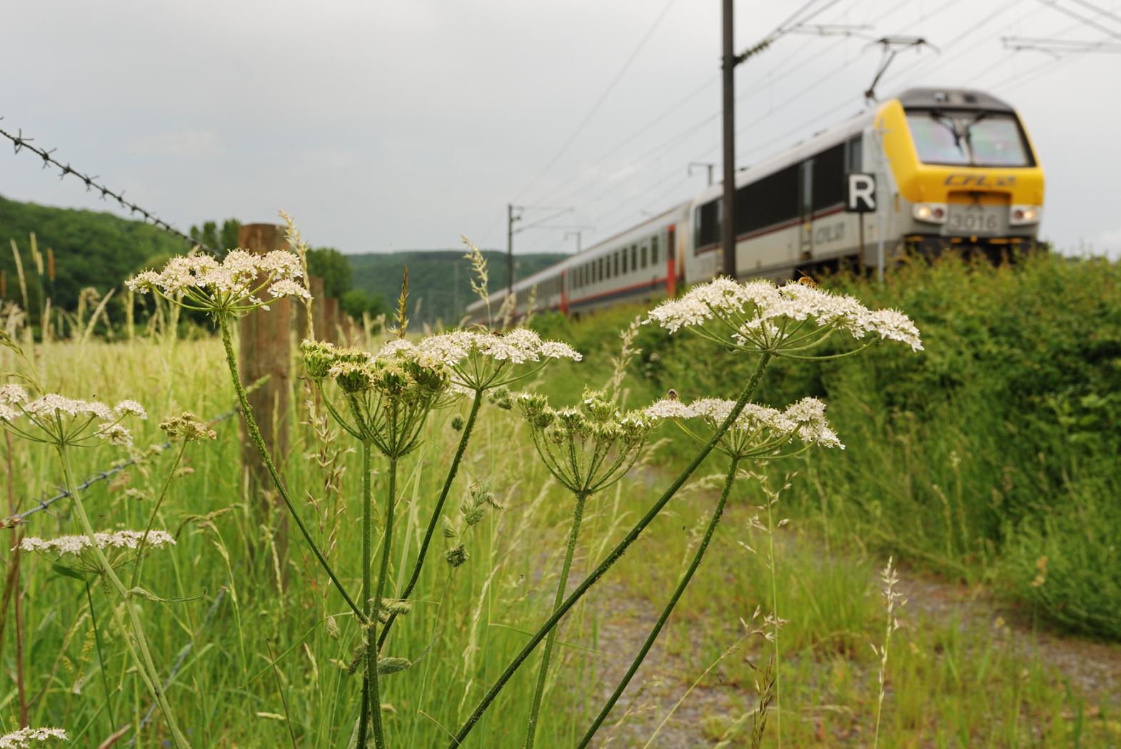 33 Bahnhof zu Bahnhof Dippach-Reckange - Leudelange
