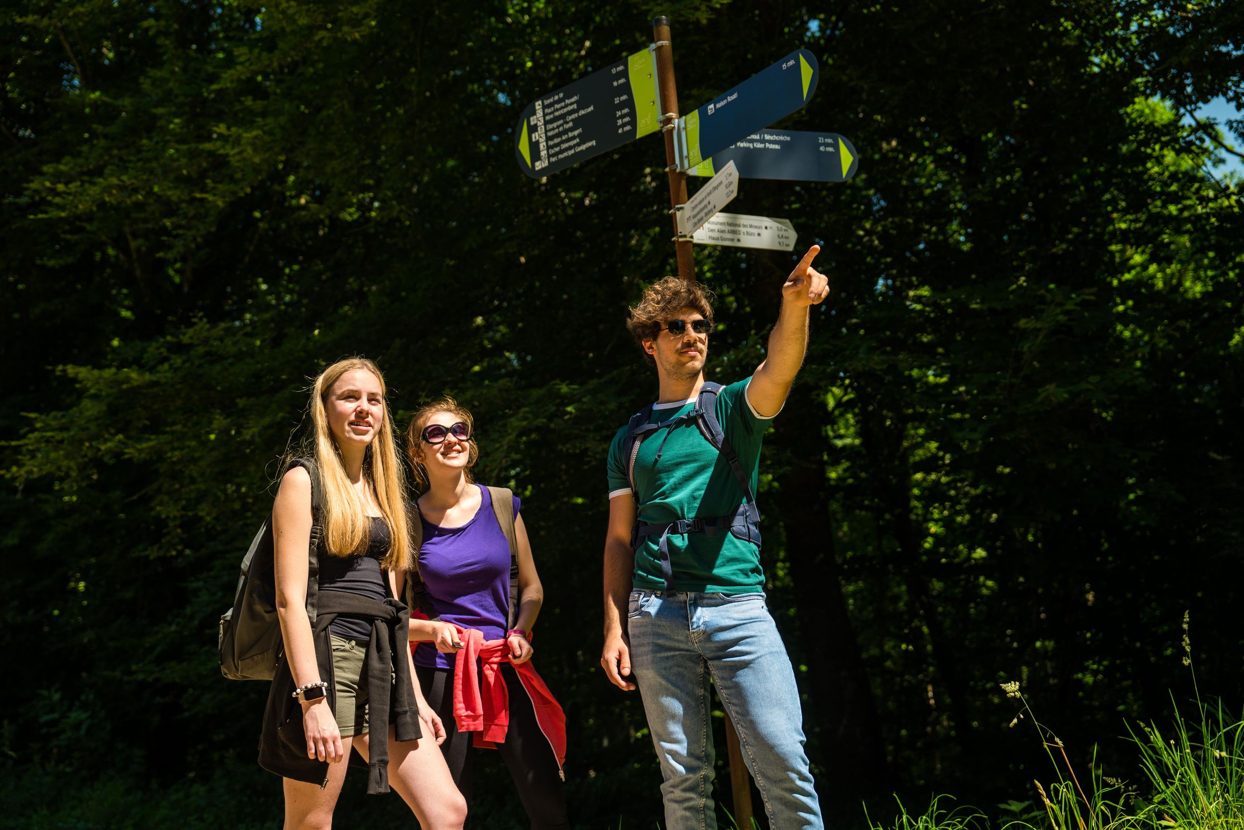 Un groupe de randonneurs de jeunes adultes