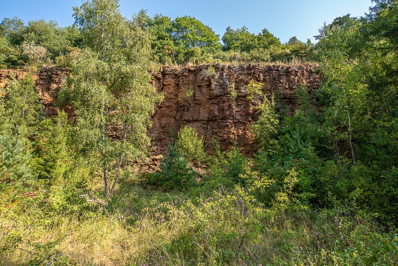 Das Naturschutzgebiet "Haard" bietet Highlights, wie diese roten Felswände