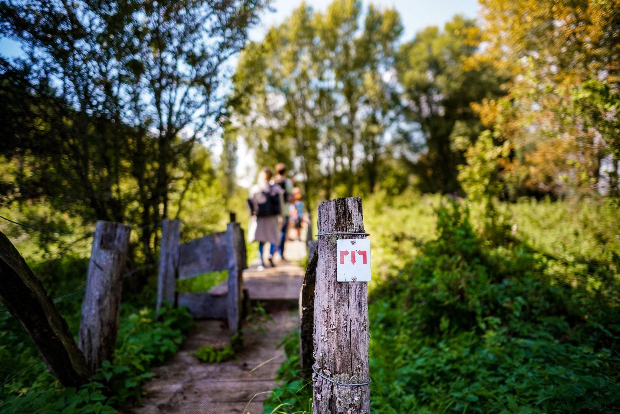 Minett Trail: Bergem/Beim Nëssert - Gare Bettembourg