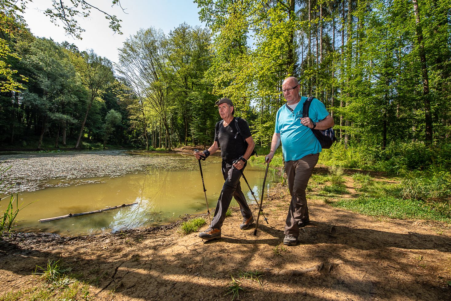 Deux randonneurs sur le sentier, tout au long des étangs dans la réserve naturelle Ellergronn
