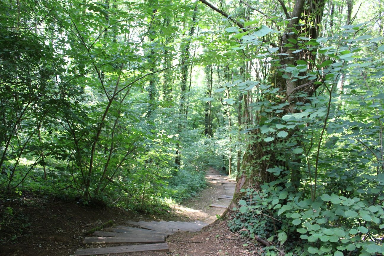 Auto-Pédestre Wanderweg Belvaux