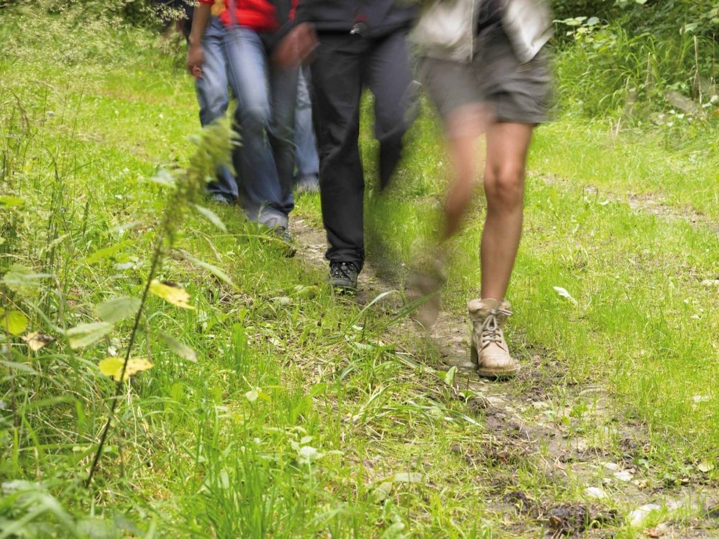 Die Rundwanderroute Roedgen ist nicht zu anstrengend und ideal für Familien