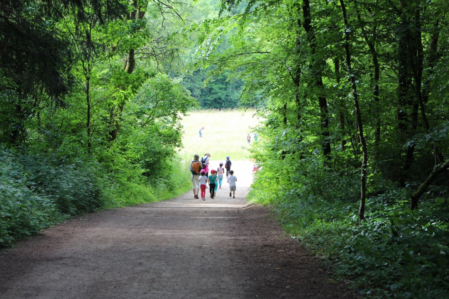 Genießen Sie die Frische der Natur in den ehemaligen Abbaugebieten