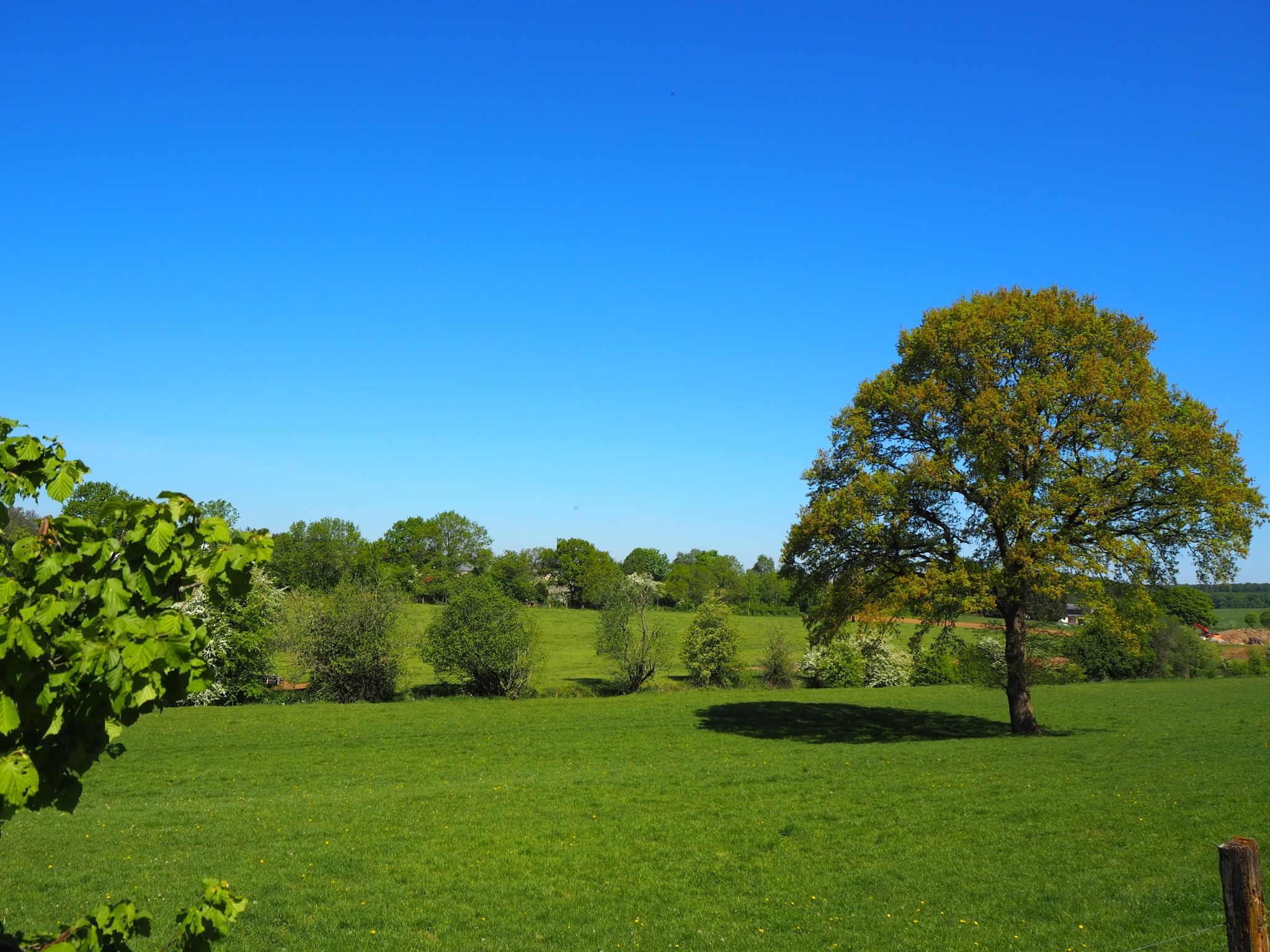 Die Landschaft rund um Clemency lädt zum Wandern ein, mit ihren großen freien Flächen und leichten Anstiegen.
