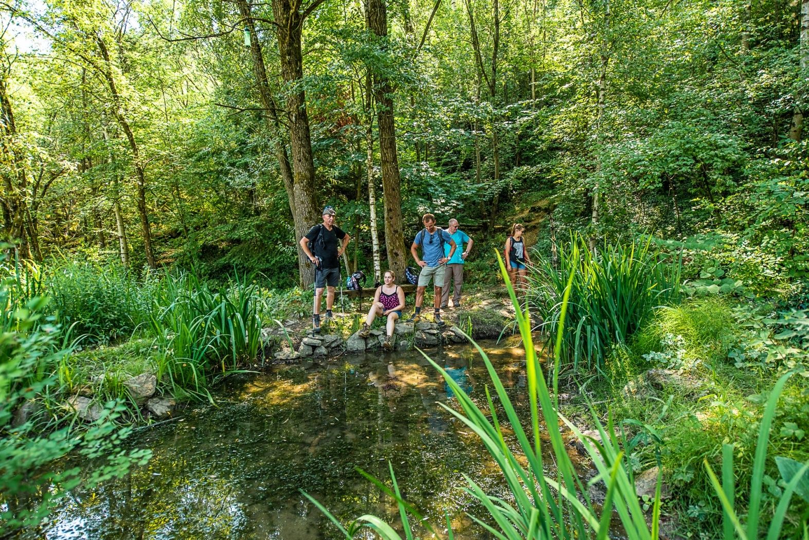 Auf dem "Giele Botter" gibt es auch entspannende grüne Oasen, wie dieser Teich
