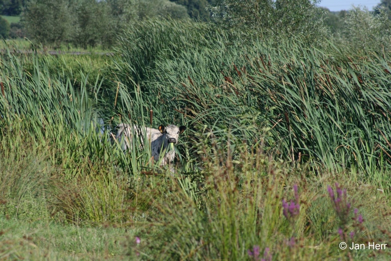 Lehrpfad Dumontshaff