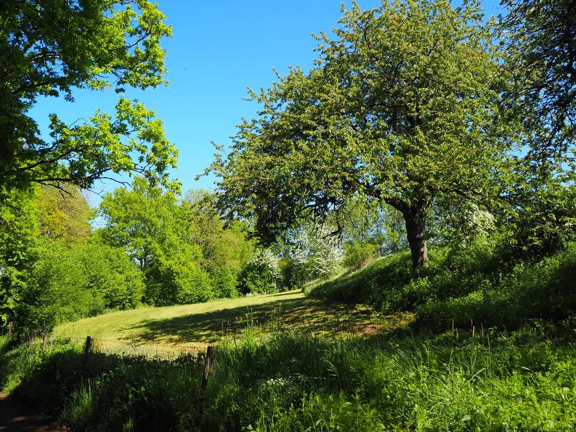 Entlang des Weges können Sie sich in der saftigen Natur erfrischen