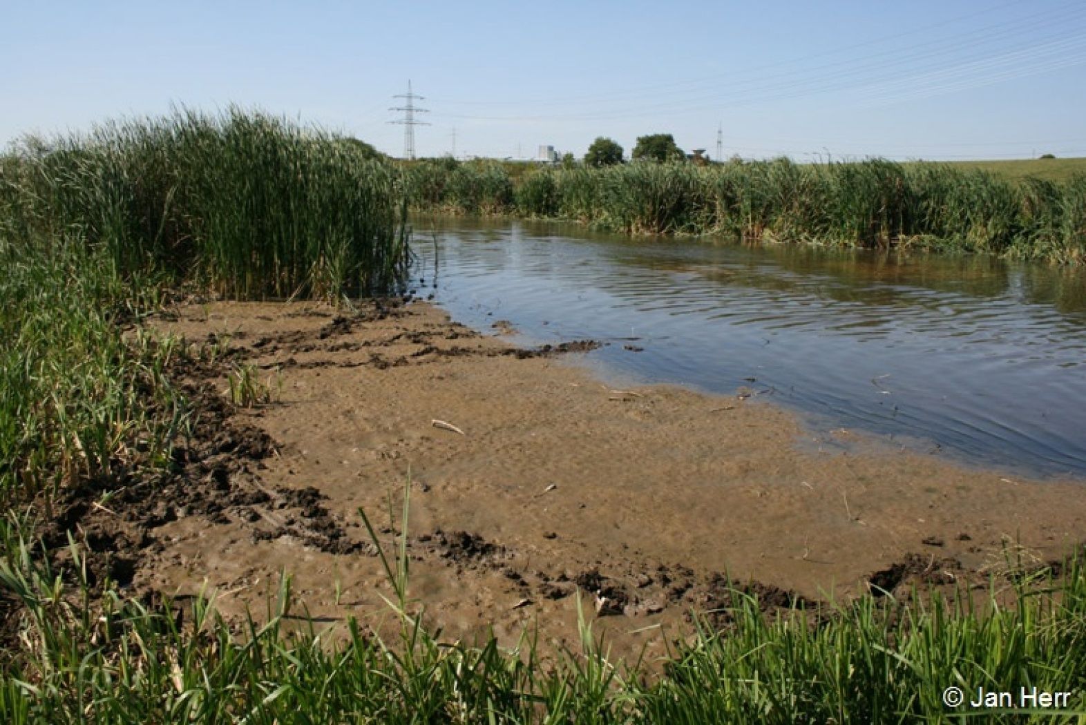Das Naturschutzgebiet ist Heimat für viele unterschiedliche Arten